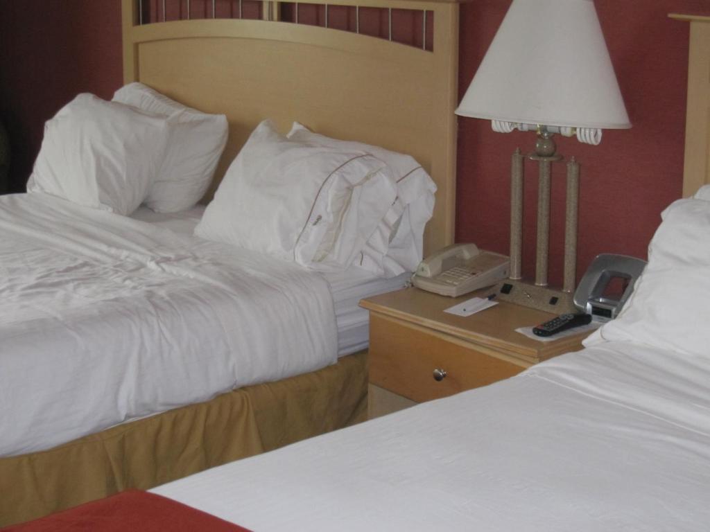Best Western Long Island City 纽约 客房 照片